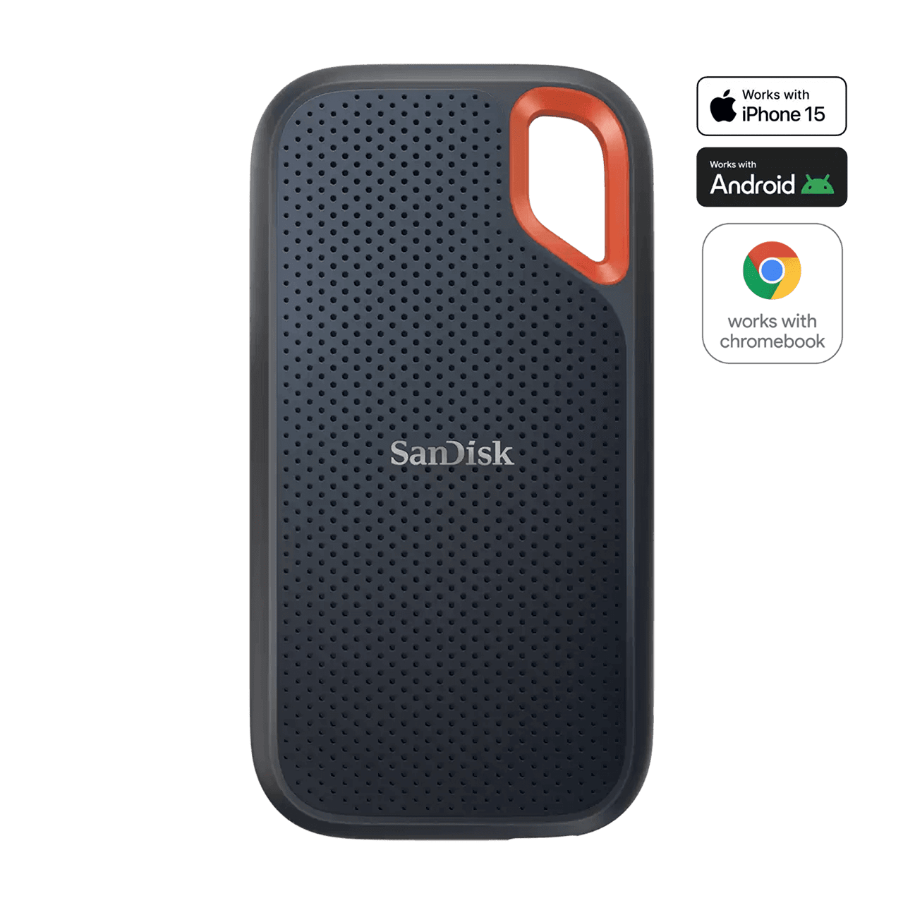 SanDisk Extreme Portable SSD 1TB 外付けSSD